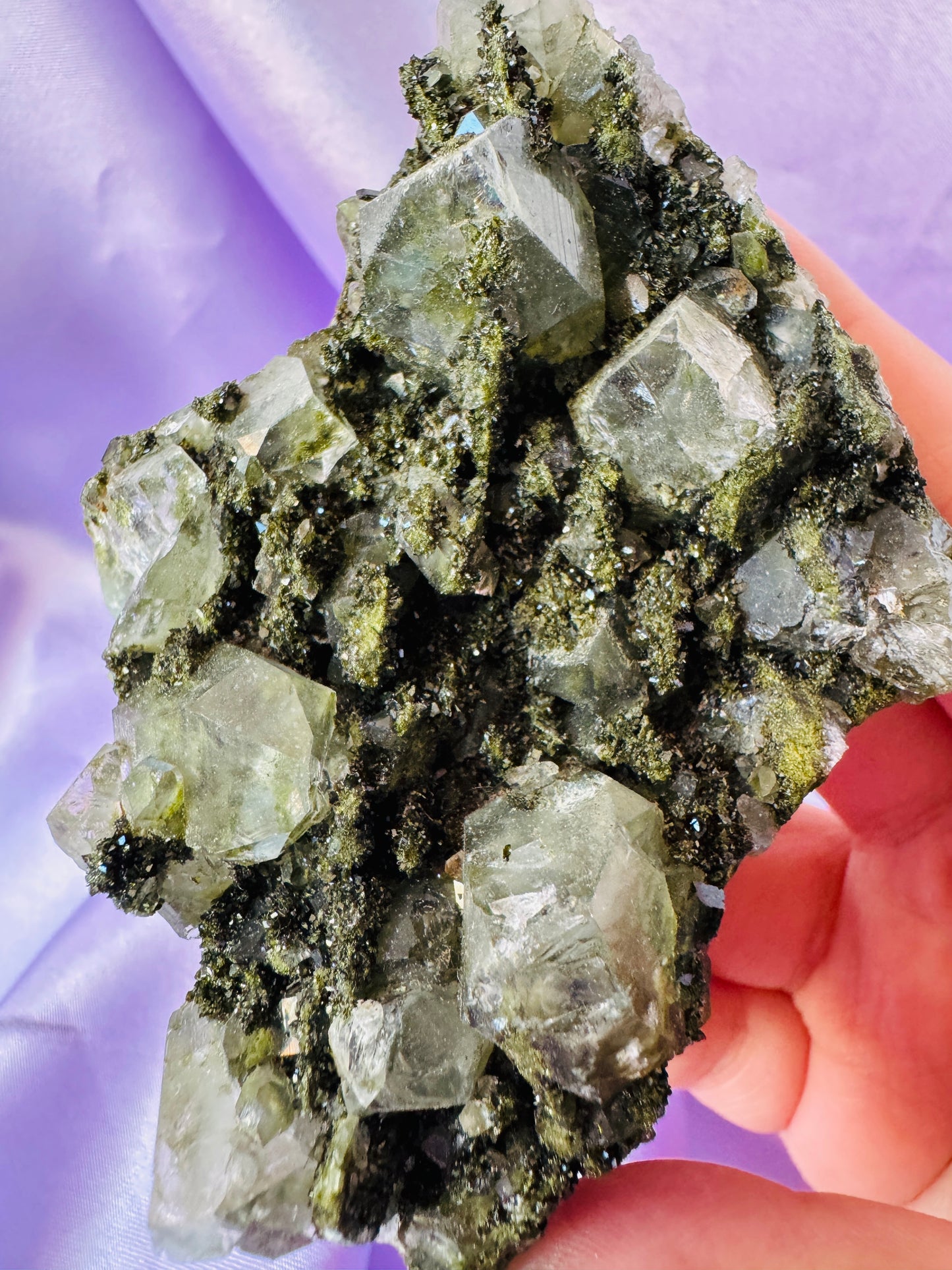 Forest Epidote in Quartz Clusters